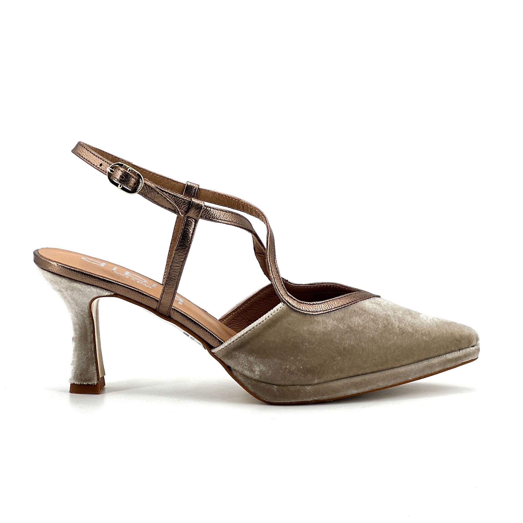 TAUPE