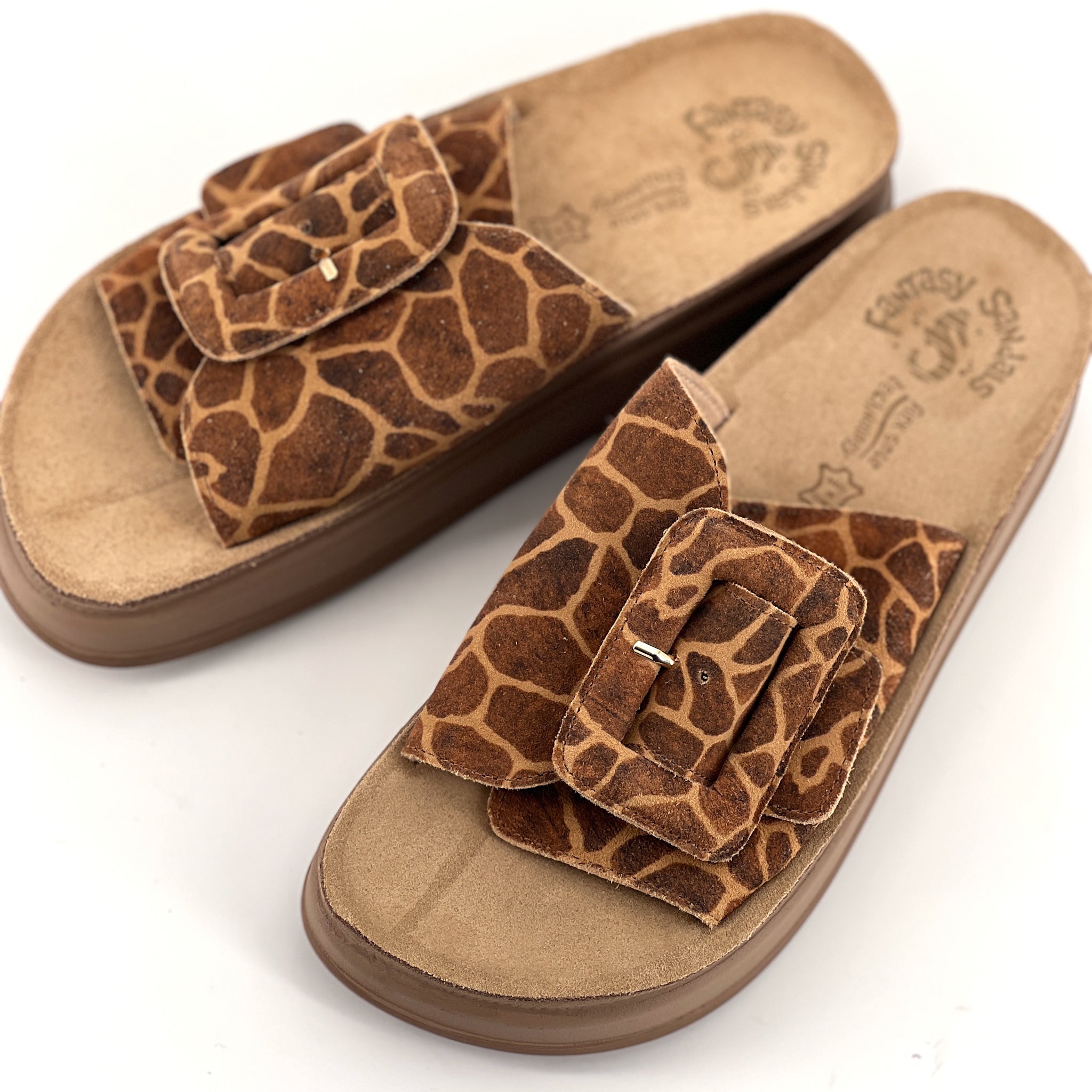 CAMEL