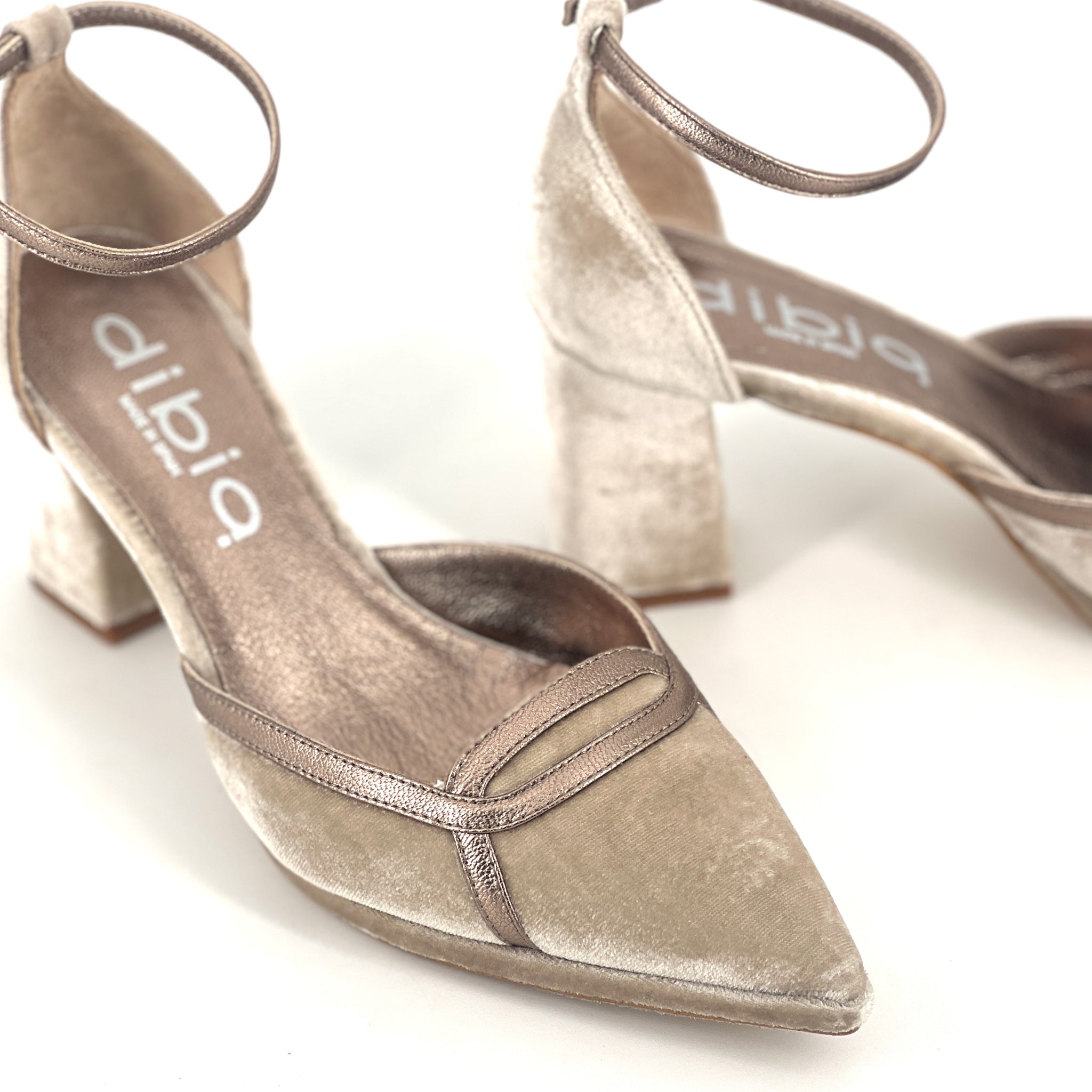 TAUPE