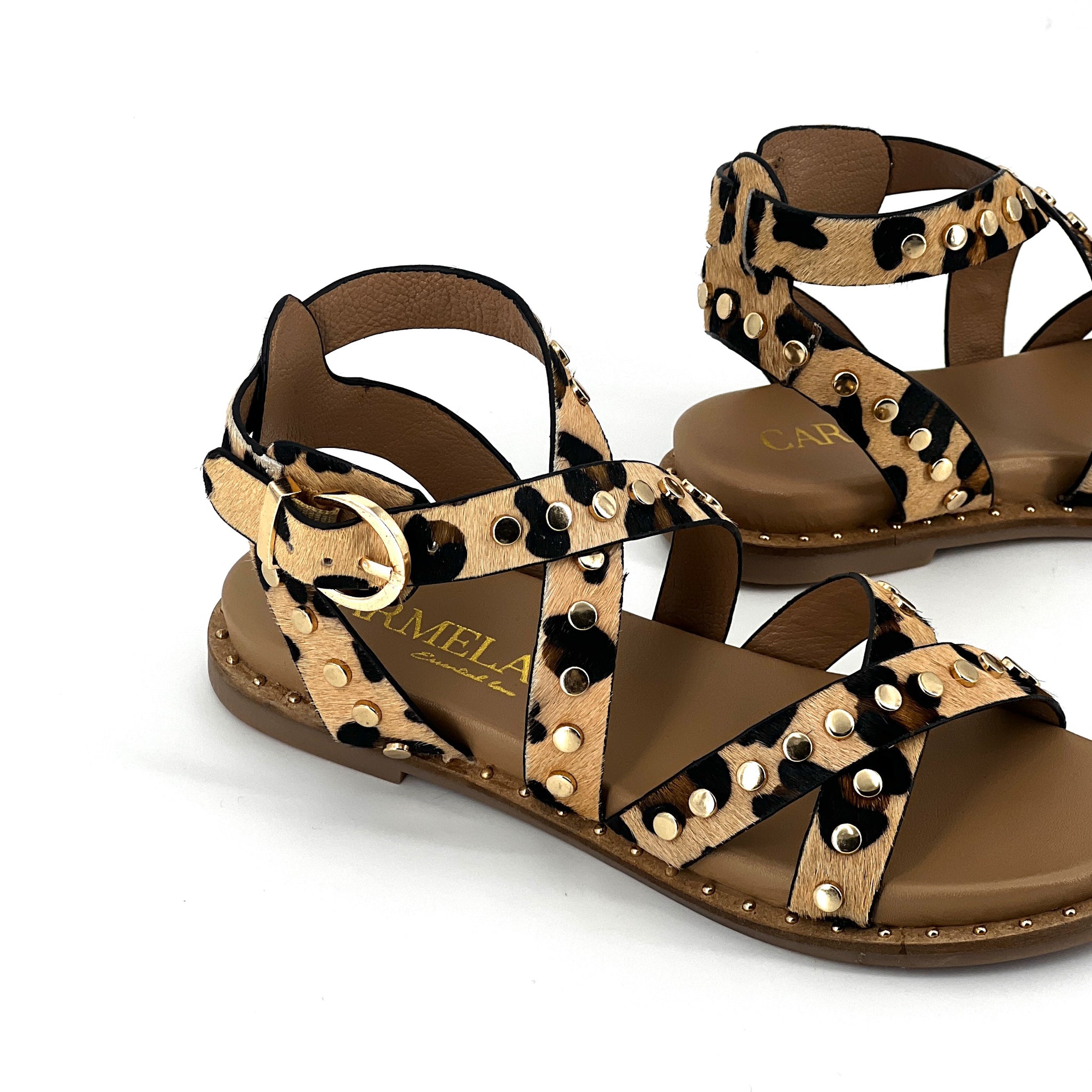 CAMEL